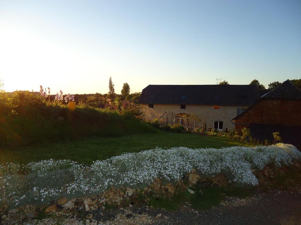 Maison D'Hotes La Maison De Leopold Terrasson Exteriér fotografie